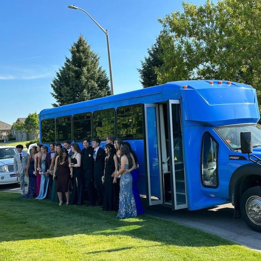 Party bus hire Cammeray