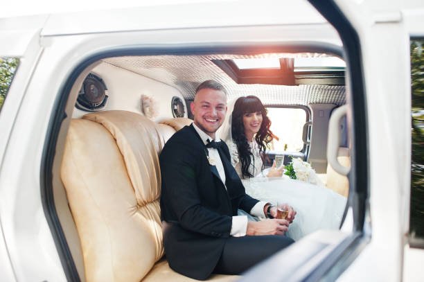 A1 Party Bus Rental Eastern Suburbs